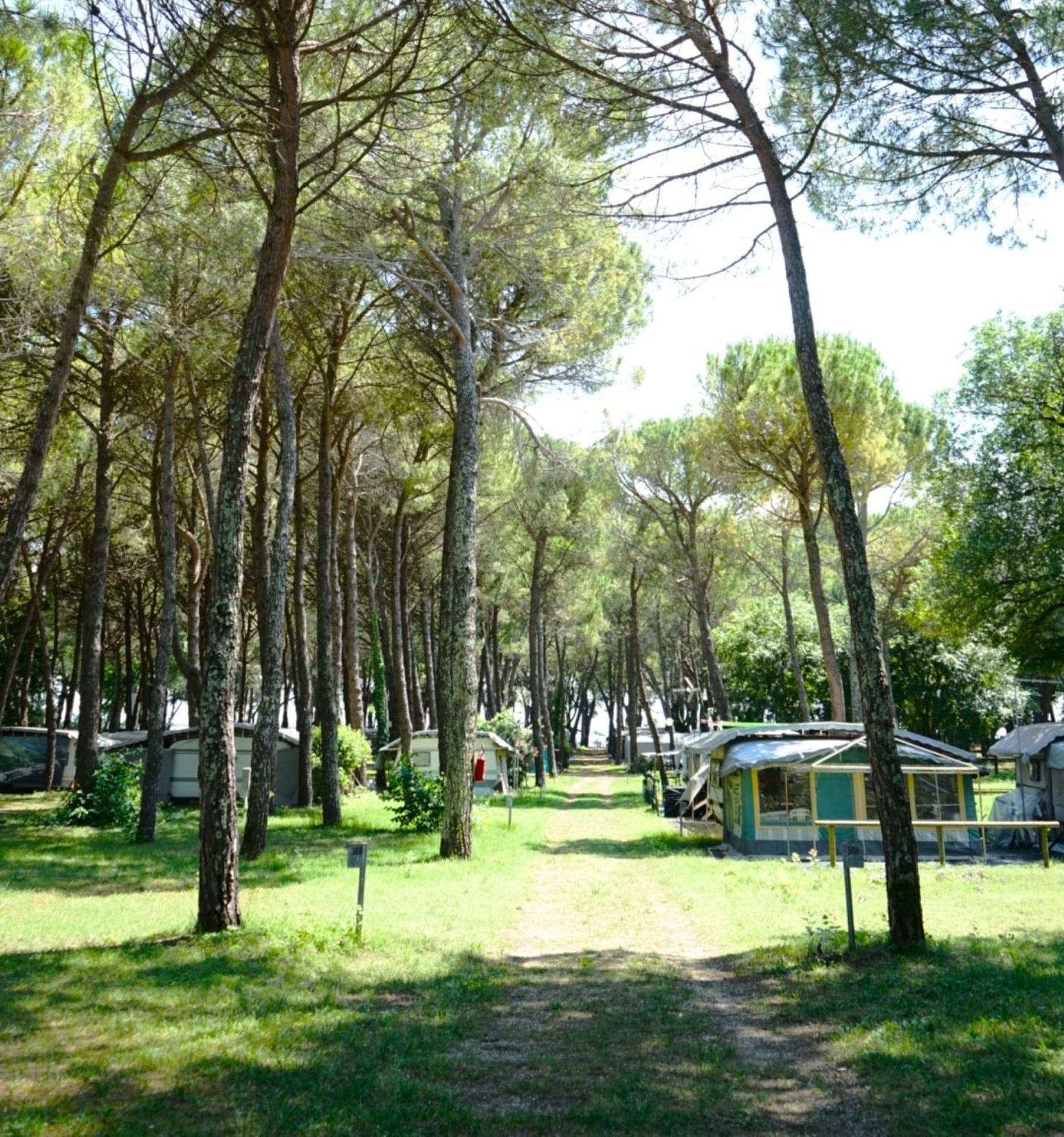 Belvedere Pineta Camping Village Grado Exteriör bild
