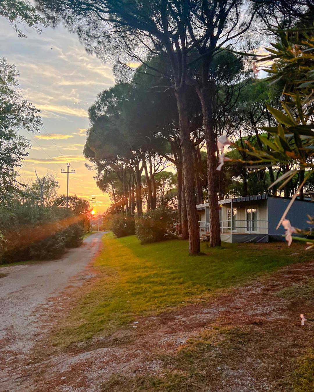 Belvedere Pineta Camping Village Grado Exteriör bild