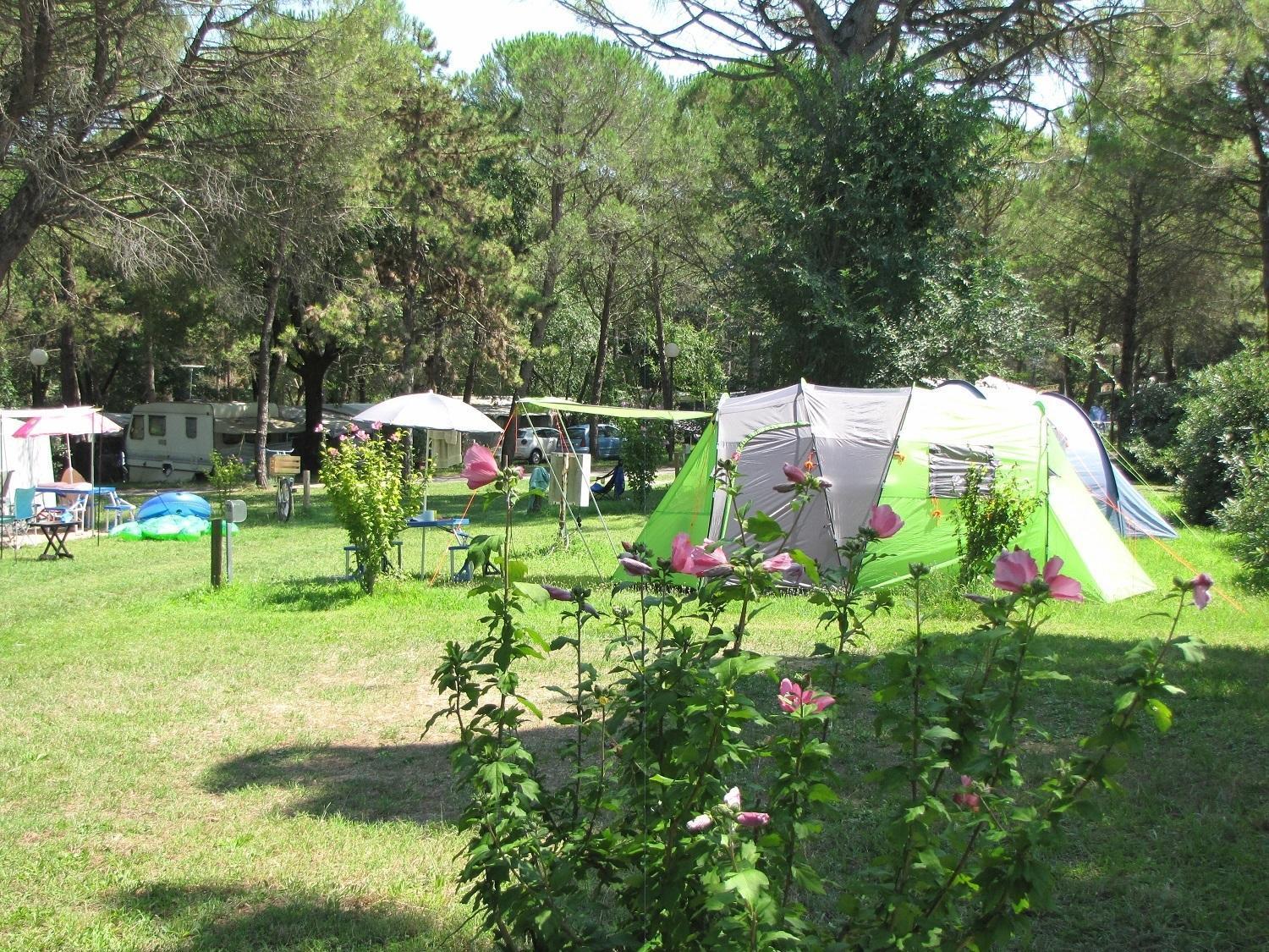 Belvedere Pineta Camping Village Grado Exteriör bild